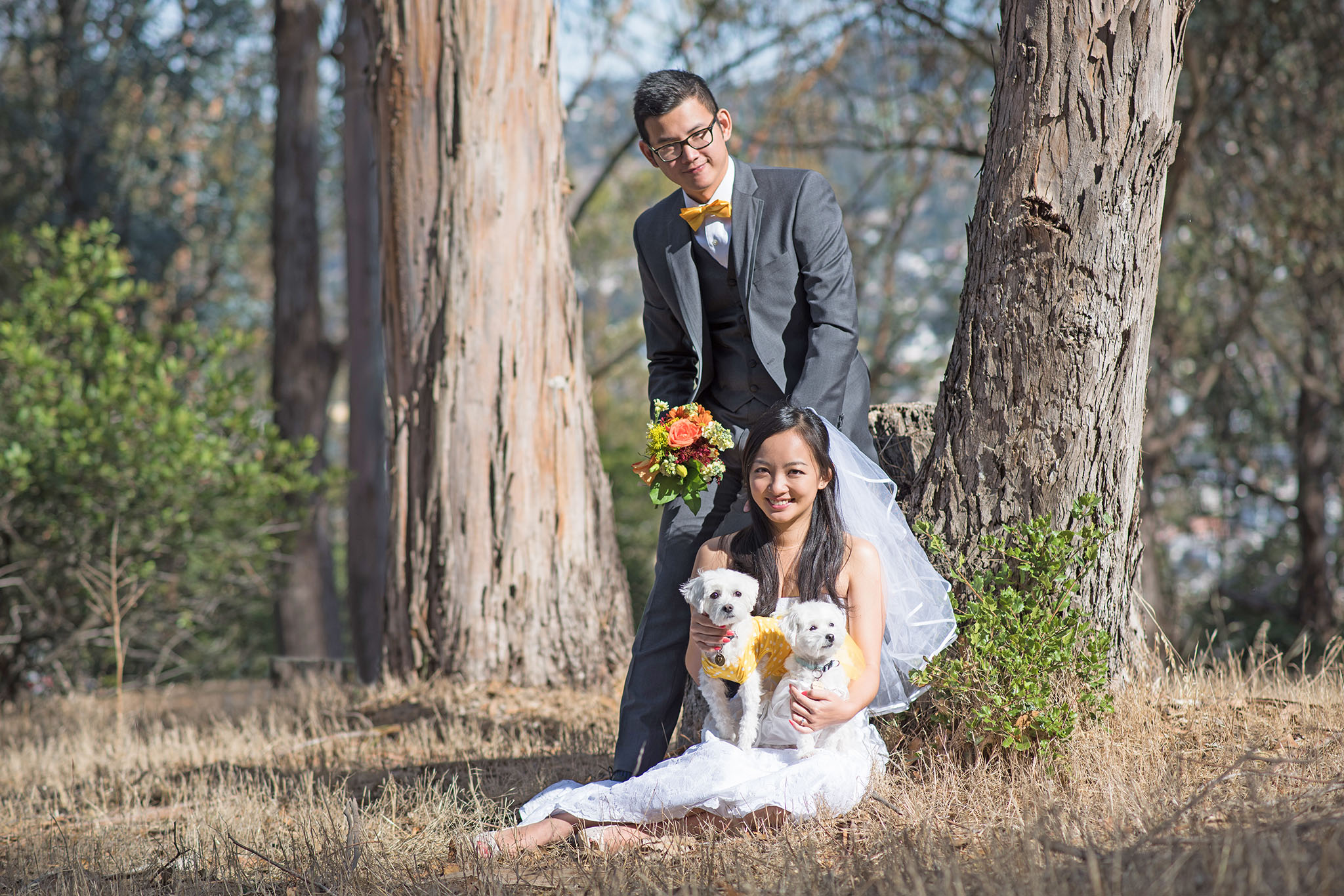 Wedding in USA