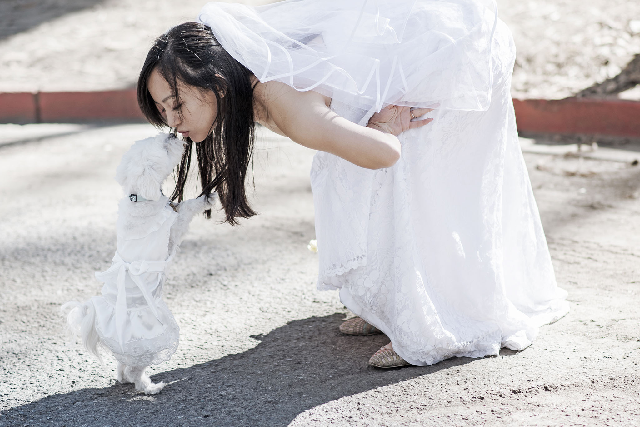 Wedding in USA